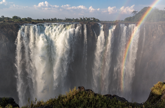 Victoria Falls National Park Victoriafälle, Regenwald