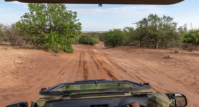 Chobe National Park