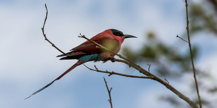 Chobe National Park