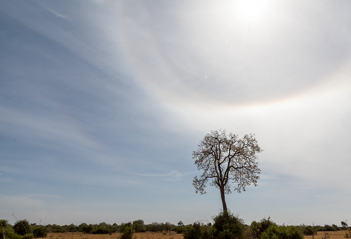 Chobe National Park