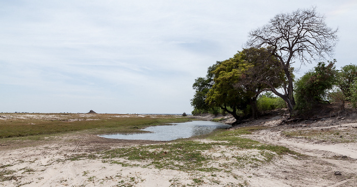 Chobe National Park