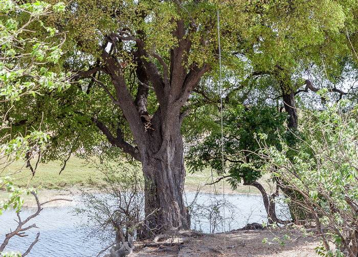 Chobe National Park