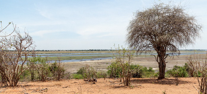 Chobe National Park