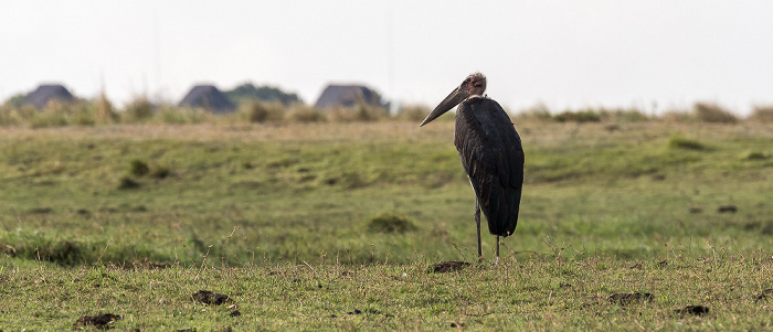 Chobe National Park