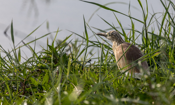 Chobe National Park