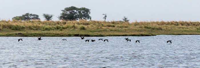 Chobe National Park