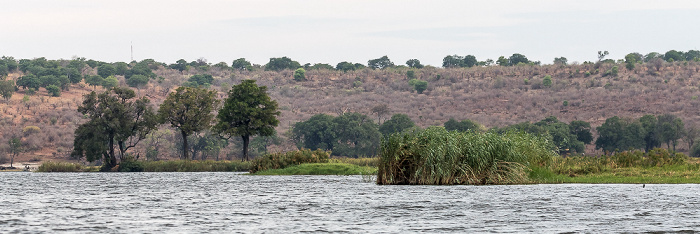 Chobe Chobe National Park