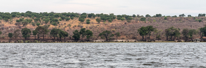 Chobe Chobe National Park