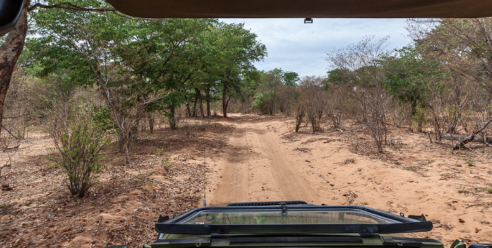 Chobe National Park