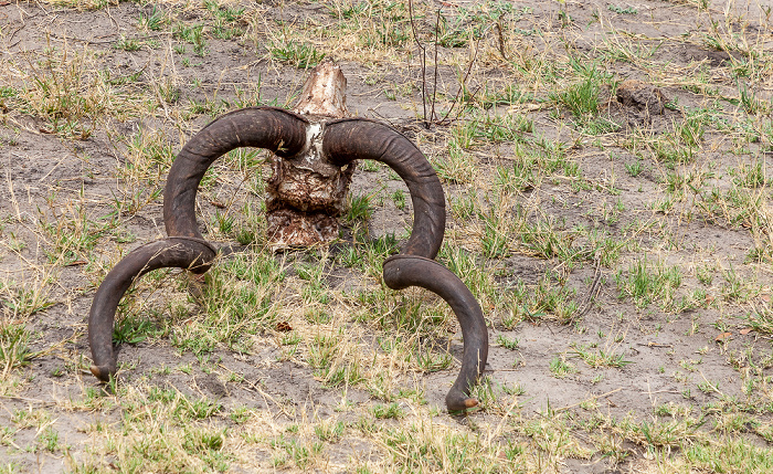 Chobe National Park