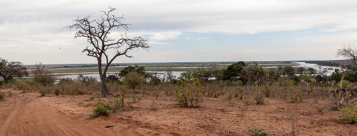 Chobe National Park