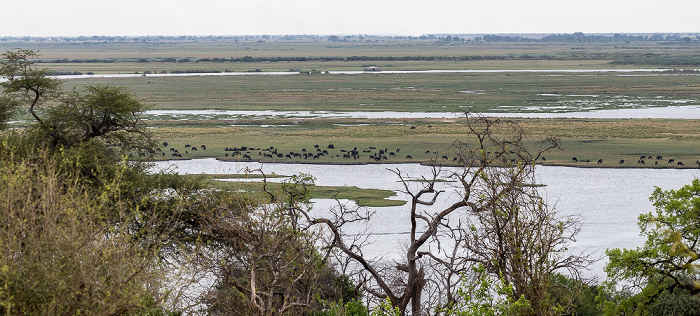 Chobe National Park