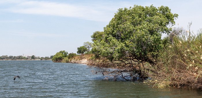 Chobe Kazungula