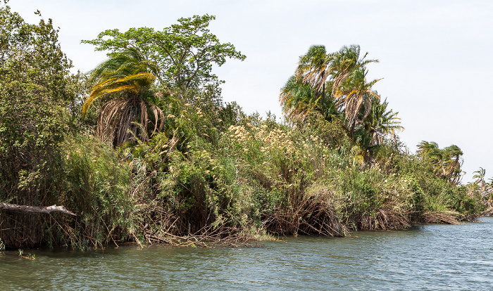 Kazungula Chobe