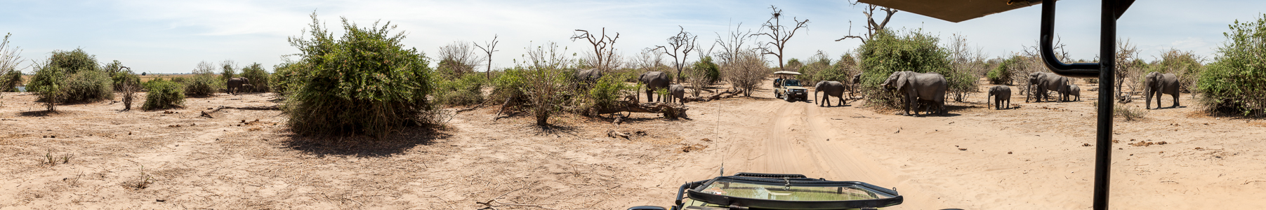 Chobe National Park