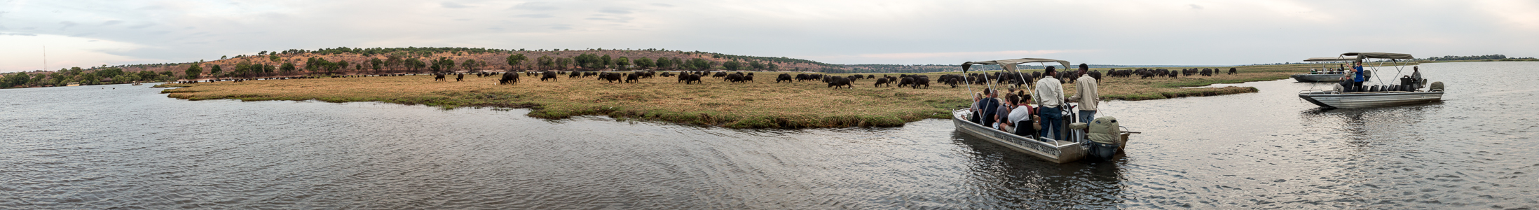 Chobe National Park