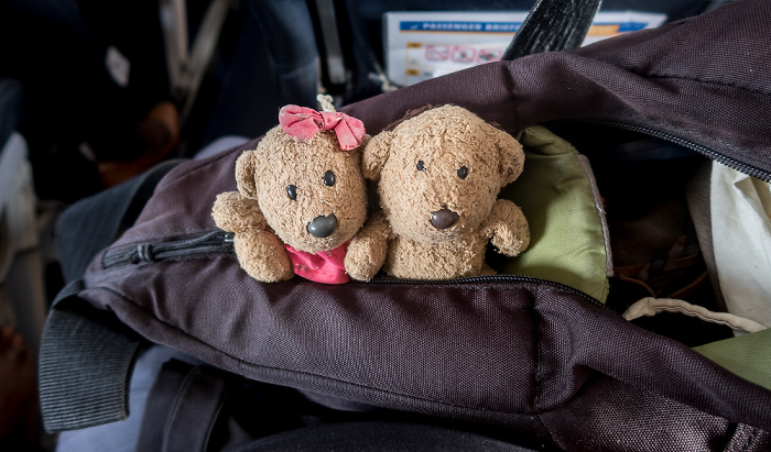 Livingstone Teddine und Teddy