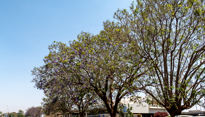 Kamuzu International Airport Lilongwe