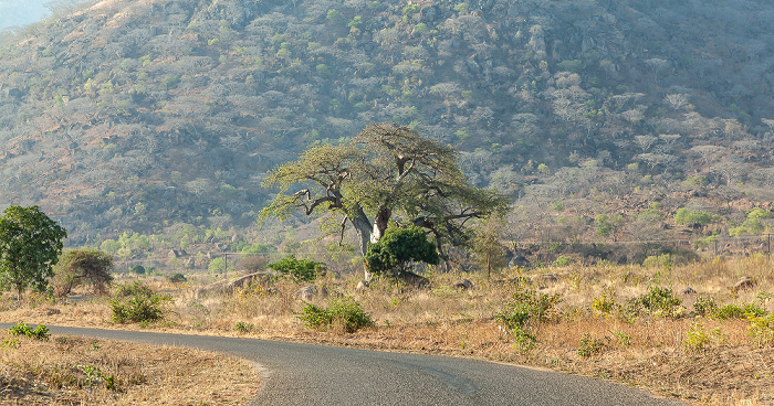 Southern Region Cape Maclear Nature Reserve