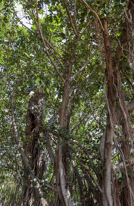 Chembe Eagles Nest Chembe (Cape Maclear)