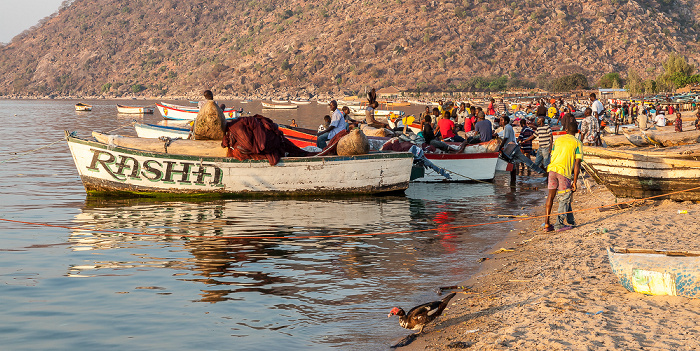 Chembe (Cape Maclear) Strand, Malawisee