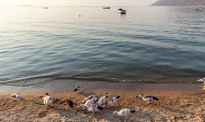 Chembe (Cape Maclear) Strand, Malawisee