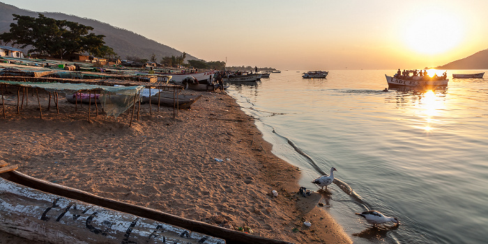 Strand, Malawisee Chembe (Cape Maclear)