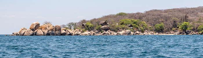 Mumbo Island Malawisee