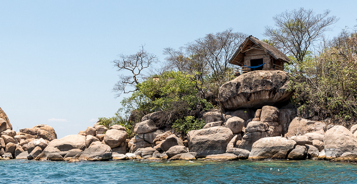 Mumbo Island Malawisee