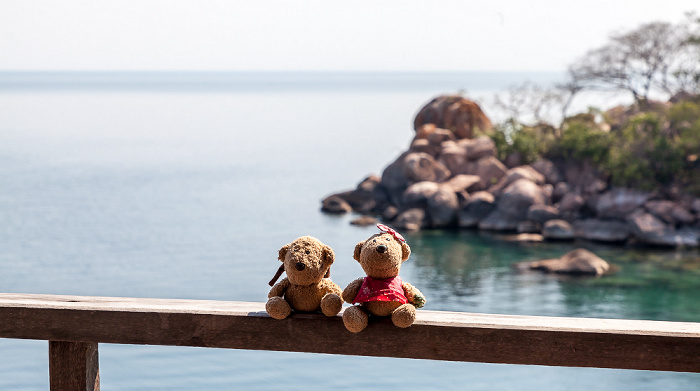 Mumbo Island Camp: Teddy und Teddine Malawisee