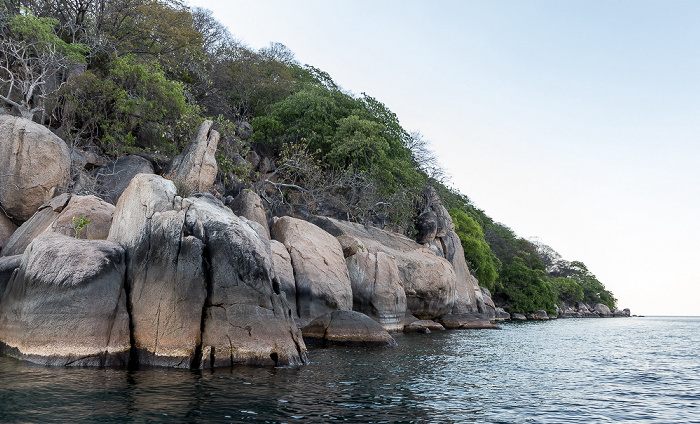 Mumbo Island Malawisee