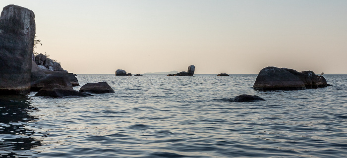 Mumbo Island Malawisee