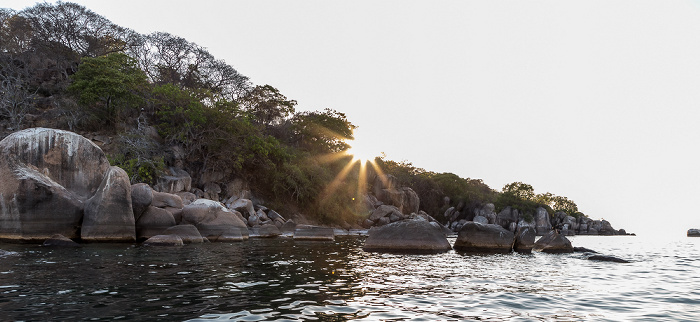 Mumbo Island Malawisee