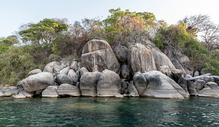 Mumbo Island Malawisee