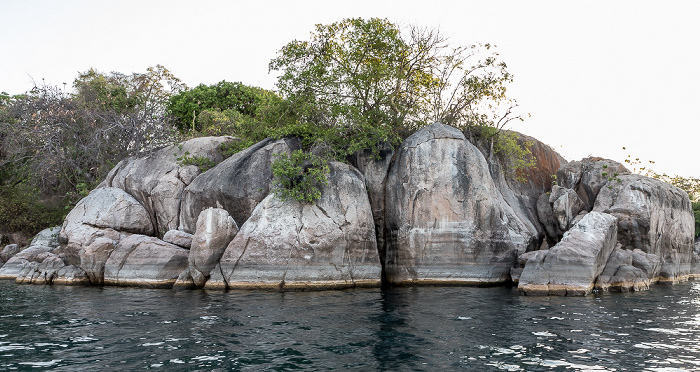 Mumbo Island Malawisee