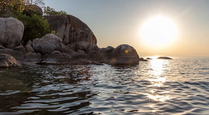 Mumbo Island Malawisee