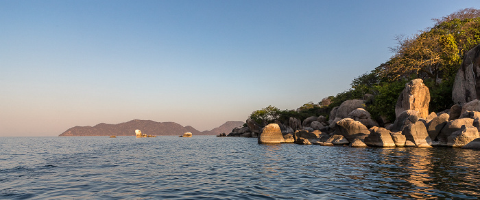 Mumbo Island Malawisee