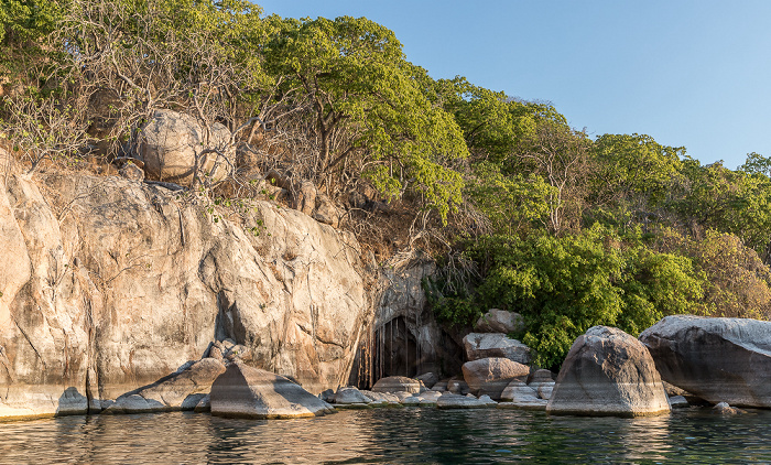 Mumbo Island Malawisee