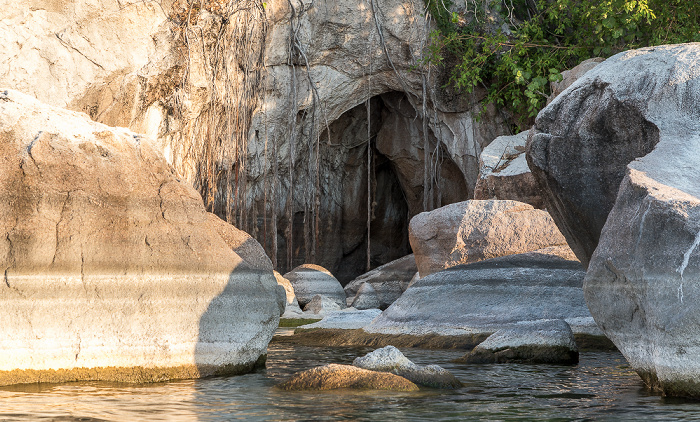 Mumbo Island Malawisee