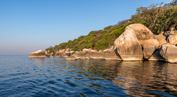 Mumbo Island Malawisee