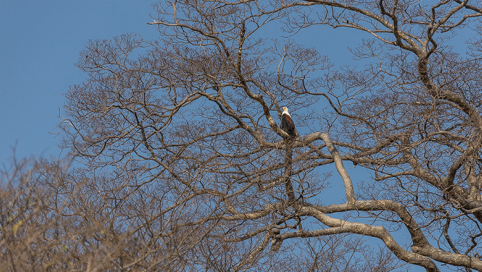 Malawisee Mumbo Island