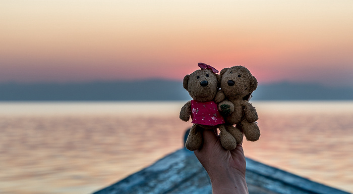 Malawisee Teddine und Teddy