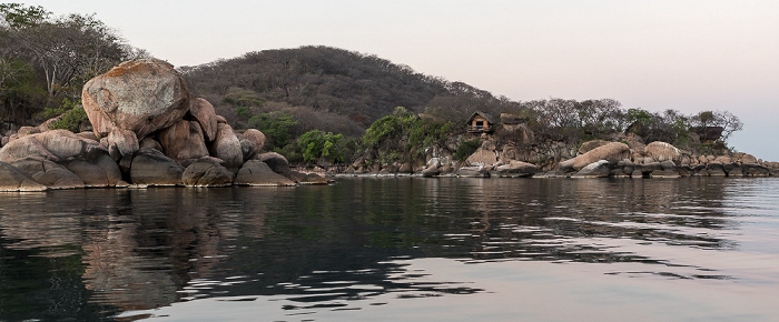 Mumbo Island Malawisee