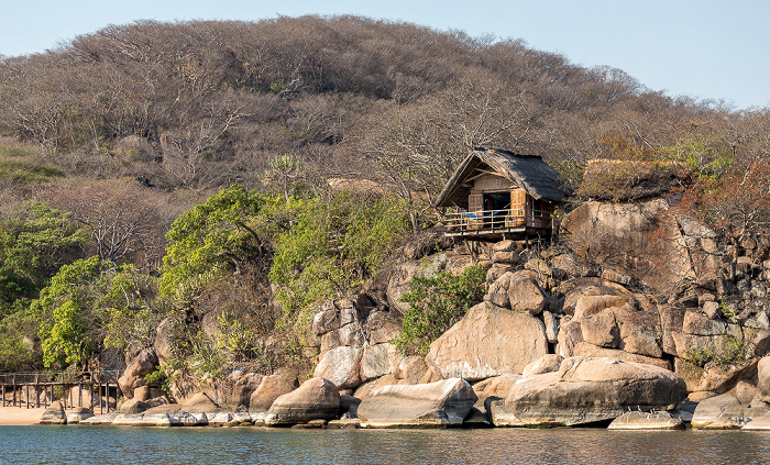 Mumbo Island Malawisee