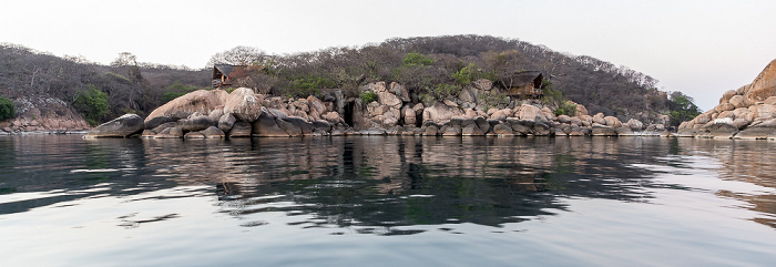 Mumbo Island Malawisee