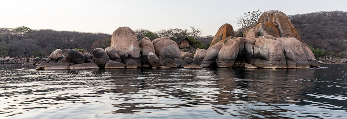 Mumbo Island Malawisee