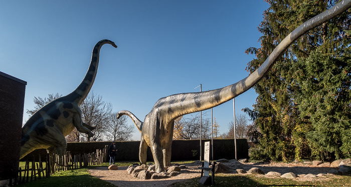 Holzmaden Urwelt-Museum Hauff