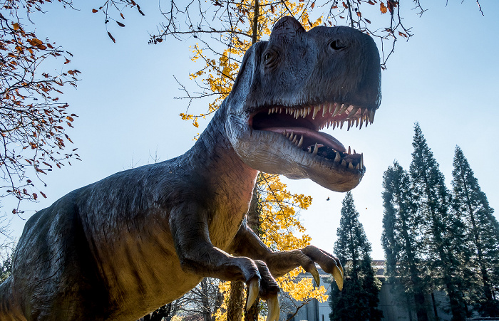 Holzmaden Urwelt-Museum Hauff