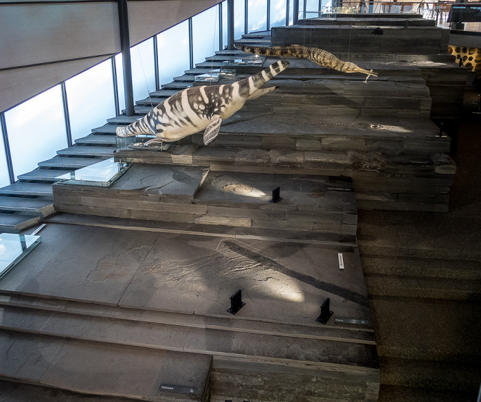 Urwelt-Museum Hauff Holzmaden