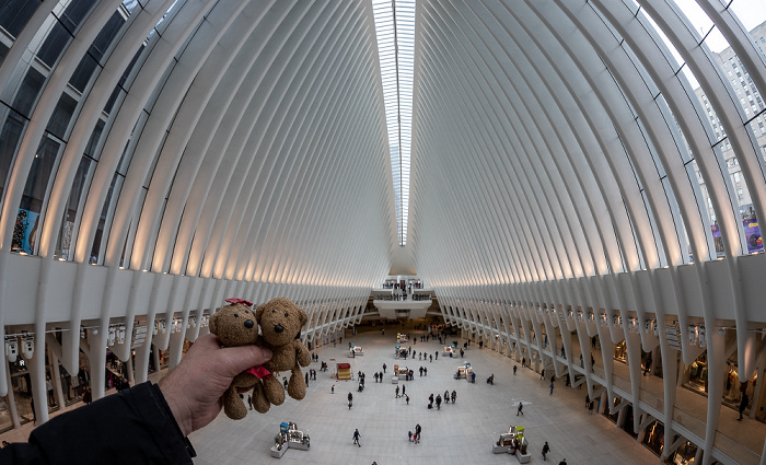 New York City World Trade Center Site: World Trade Center Transportation Hub - Teddine und Teddy